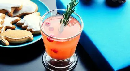 No Spirits, All Cheer: 16 Christmas Mocktail Recipes