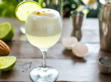 Gin Sour Recipe