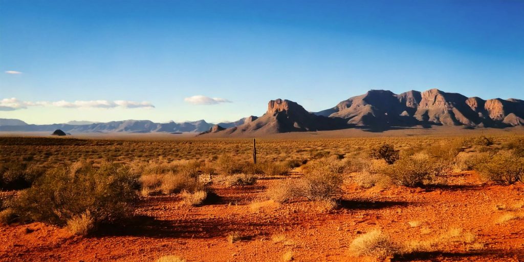 A vibrant desert scene with rugged mountains in the distance and arid land filled with sparse shrubs and cacti, representing the native environment of sotol plants.