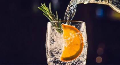 The Ultimate Guide to Classic Gin Cocktails