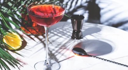 Sherry Cocktails: The Best Recipes & Tips for Home Bartenders