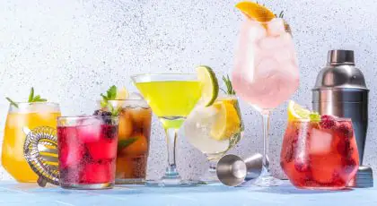 Beginner's Guide to Mixed Drinks 