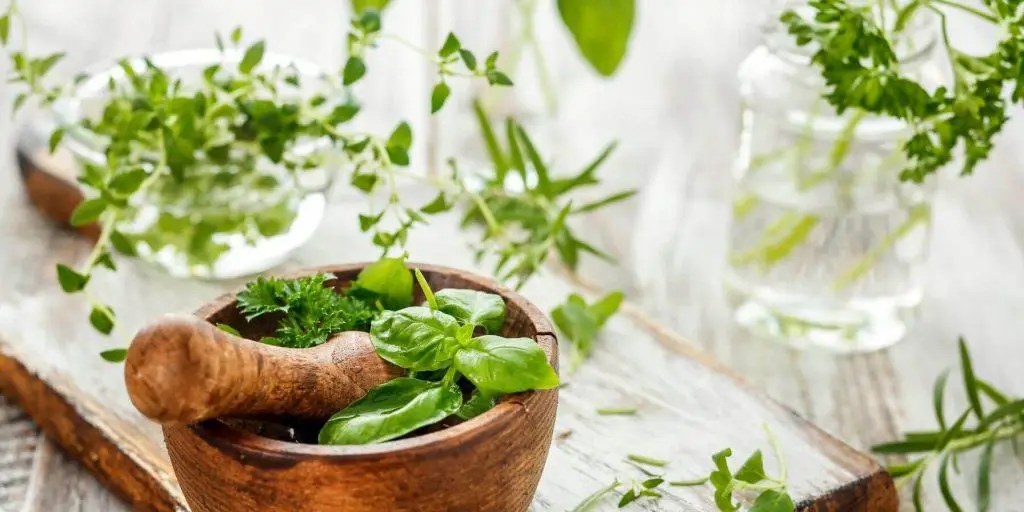 Fresh herbs in mortar and pestle