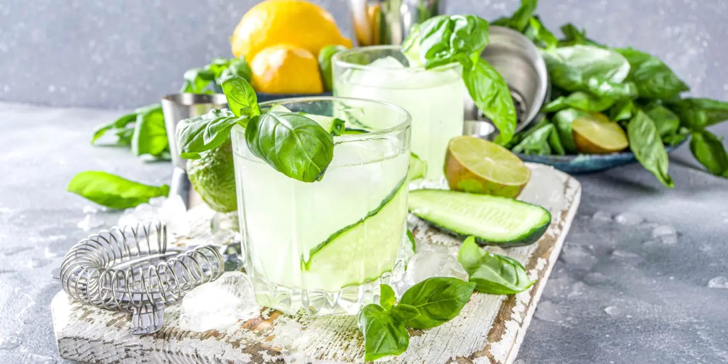 15 Best Indian Inspired Cocktails The Mixer   426. Indian Cocktails Cucumber Cooler Canva Rimmabondarenko 1480x740 