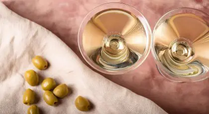 Vodka Martini vs Gin Martini: Which Should You Choose?