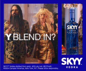 Banner ad for SKYY Vodka