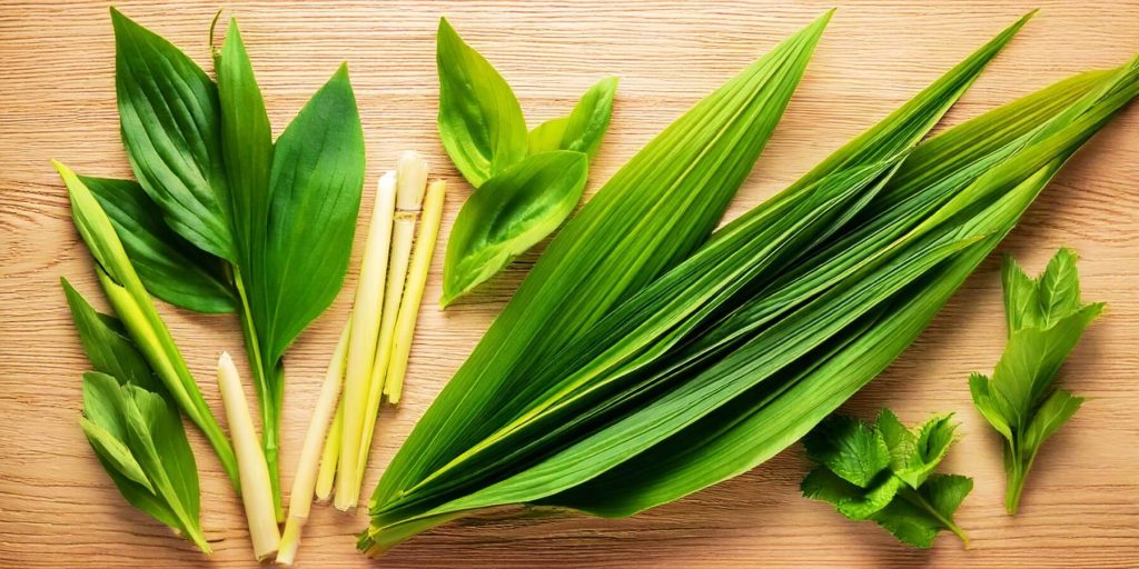 A variety of fresh Asian herbs and leaves, including lemongrass, pandan leaves, and mint, arranged neatly on a wooden background.